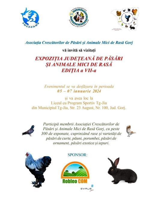 expoziție de păsări expoziție de păsări