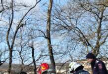 Incendiu la Grădina Zoologică din Râmnicu Vâlcea