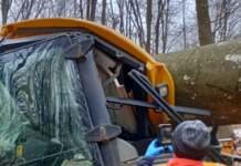 Gorj: A murit strivit de un copac căzut pe utilajul pe care îl conducea