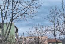 Un copil de 4 ani din Motru dat dispărut de bunici