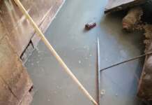 Blocul social din Turburea, un focar de infecție. Cimitirele pline de gunoaie