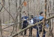 A murit în pădure în timp ce efectua lucrări de exploatare forestieră