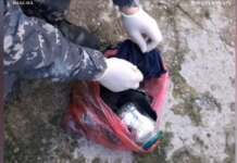 Atenție părinți: Droguri de mare risc vândute în școli din Tg-Jiu, chiar de către copii