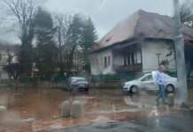 Foto: Un alt șofer a intrat cu mașina pe centrul pietonal din Tg-Jiu