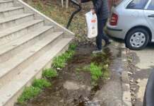 Video: Mizeria din fața Policlinicii din Tg-Jiu