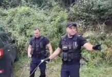 Pui de viperă într-o clădire de birouri în apropiere de Jud. Gorj