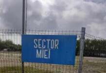Târgu Jiu: Primăria deschide platforma pentru vânzarea mieilor de Paște la Târgul Litovoi