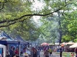Festival de 1 Mai la Târgu Jiu: trei zile de muzică, distracție și relaxare în Pădurea Drăgoieni