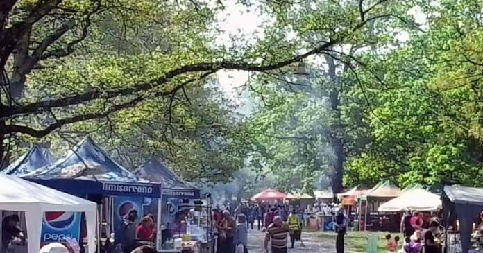 dragoieni2 Festival de 1 Mai la Târgu Jiu: trei zile de muzică, distracție și relaxare în Pădurea Drăgoieni