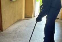 Șarpe prins în scara unui bloc din Târgu-Jiu. Pare a fi chiar o viperă