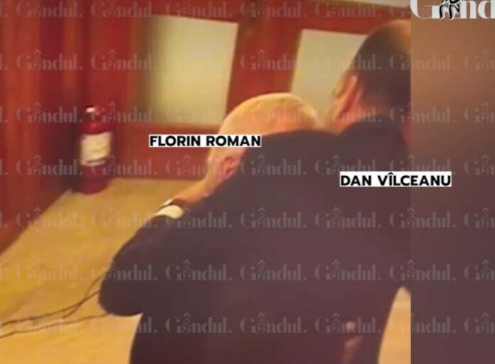 vilceanu si roman