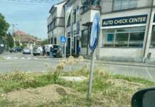 Tg-Jiu: orașul lalelelor s-a transformat în orașul uscăciunilor