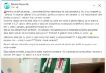 Un gest umanitar transformat într-un scandal: Veterinară amenință cu poliția pentru salvarea unui porumbel rănit