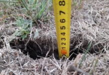 Secetă extremă în Gorj: crăpături impresionante în solul din zona Copăcioasa