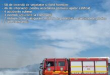 118 intervenții în trei zile pentru ISU Gorj: Incendiile de vegetație uscată continuă să pună în pericol comunitățile