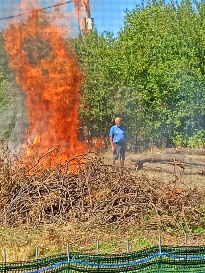 foc