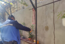 Jandarmii montani din Tismana au capturat o viperă veninoasă în apropierea unui loc de joacă