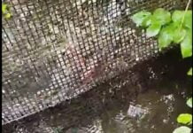 Video: Scandal la Arcani: Localnicii acuză favorizarea unor afaceri private în detrimentul comunității. Este directorul Apelor Române Gorj, Claudiu Vijulan, implicat?