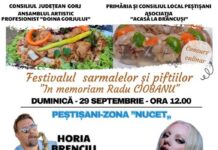 Festivalul sarmalelor și piftiilor 2024: Gust autentic și spectacol de neuitat la Peștișani