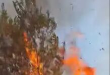 ARDE satul Bâlta, comuna Runcu!! Apel disperat pentru ajutor în lupta cu flăcările