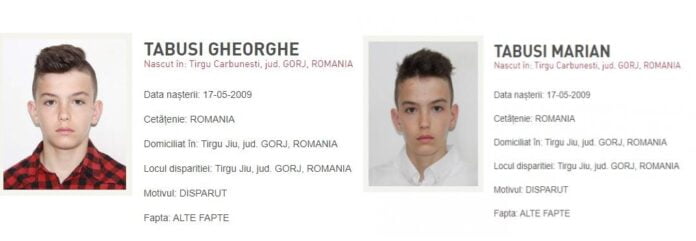 gemeni