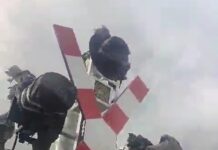 Gorj: S-a aruncat în fața trenului din cauza suferinței