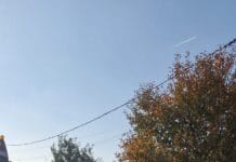 Vieo: Accident la Plopșoru. Un TIR a intrat într-o casă lovind și un pieton