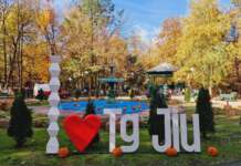 Halloween la Târgu Jiu: Concursuri de dovleci și costume, premii delicioase și un film-surpriză în Parcul Central