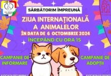 Târgu-Jiu sărbătorește Ziua Internațională a Animalelor cu o campanie de adopții și informare