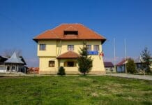Scandal la Drăguțești: Primarul acuzat că a plătit 180.000 lei pentru capturarea câinilor Scandal la Drăguțești: Primarul acuzat că a plătit 180.000 lei pentru capturarea câinilor