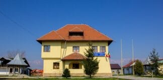 Scandal la Drăguțești: Primarul acuzat că a plătit 180.000 lei pentru capturarea câinilor Scandal la Drăguțești: Primarul acuzat că a plătit 180.000 lei pentru capturarea câinilor