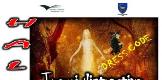 hallowen biblioteca
