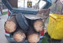Bărbat din Baia de Fier prins conducând fără permis, RCA și ITP valabil, sancționat de polițiști