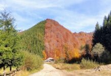 Spectacol de toamnă în Valea Jiului: „Muntele Bicolor” atrage mii de turiști