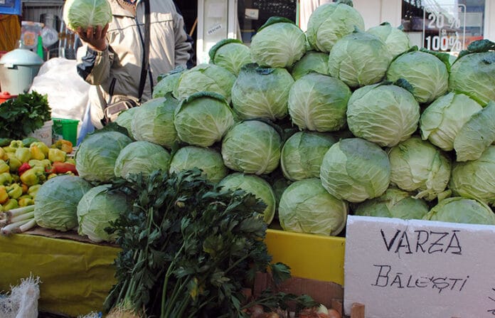 varza-balesti-11