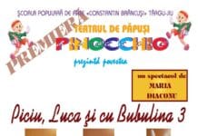 Teatrul de Păpuși „Pinocchio” vă invită la premiera spectacolului „Piciu, Luca și cu Bubulina”