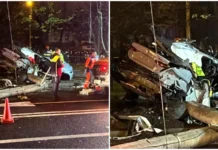 Accident rutier devastator în Ploiești: doi tineri și-au pierdut viața