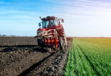 Agricultura în Gorj: Puțini producători, dar subvențiile țin zootehnia și legumicultura în viață