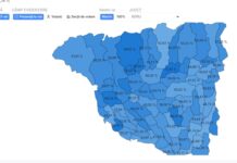 Prezența la vot în județul Gorj: Diferențe semnificative între comune