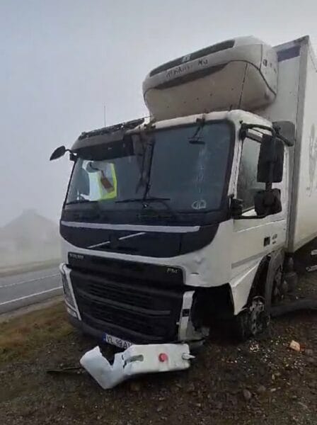 camion avicarvil