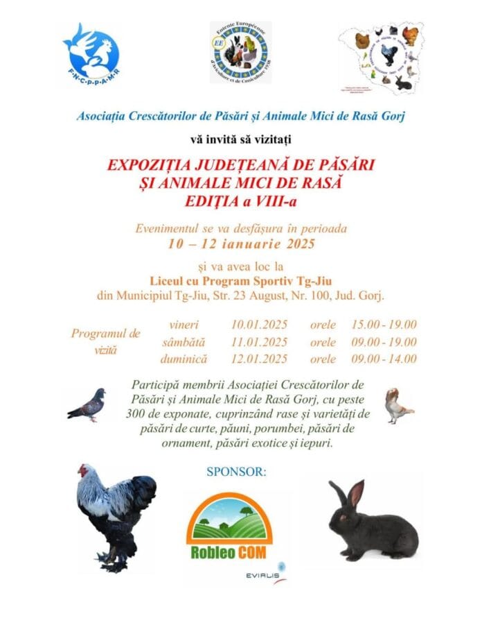expozitie pasari