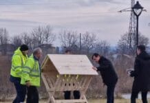 Hrănitoare pentru căprioare amplasate în Parcul Narcise din Târgu Jiu