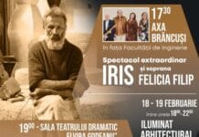 Concert Iris la Tg-Jiu. Ceai cald și zonă încălzită Concert Iris, Brâncuși