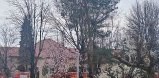 școala nr. 4, incendiu