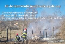 incendii de vegetație