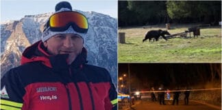 Atac cumplit la Predeal: Șeful Salvamont, sfâșiat de un urs la doar câțiva pași de casă