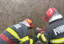 Gorj: Caz de cruzime șocantă – a aruncat o cățelușă într-un puț dezafectat Caz de cruzime șocantă – a aruncat o cățelușă într-un puț dezafectat