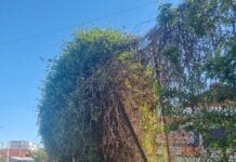 Foto: Pericol public la Stadionul Municipal din Târgu Jiu: gardul stă să cadă, autoritățile pun doar o bandă de avertizare Pericol public la Stadionul Municipal din Târgu Jiu: gardul stă să cadă, autoritățile pun doar o bandă de avertizare