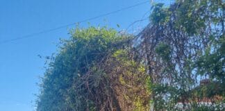 Pericol public la Stadionul Municipal din Târgu Jiu: gardul stă să cadă, autoritățile pun doar o bandă de avertizare
