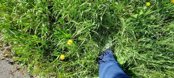Intimidare cu Poliția Locală în Drăgoeni și Preajba! Primăria Târgu Jiu îi obligă pe cetățeni să tundă iarba